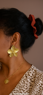 Boucles d'oreilles Florine